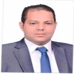 Hany Hamed, Accountant 