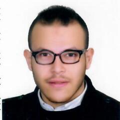 Mahmoud  nabil mahmoud sallam, Branch Accountant