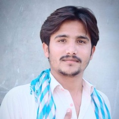 Zameer  Hussain