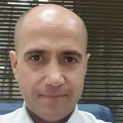 هيثم السخني, Performance and Development Director