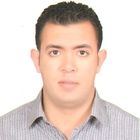 Mohamed Mahmoud Abdel Wanis El Sherbini , Construction Manager
