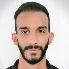 Abdelrahman Reda, Web Frontend Software Developer