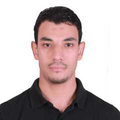 Mostafa  Zedan , Administrative / Accounting assistant