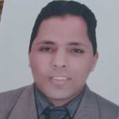 Mohamed Amer