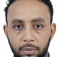 Abualqasim محمد, investigative reporter
