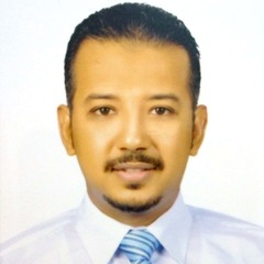 Mohamed heikal, Chief Accountant