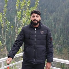 Muhammad Meraj  Ali