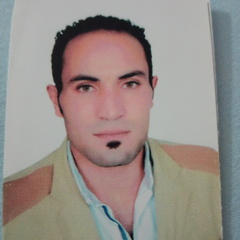 Abdel Rahman  Mohamed