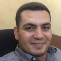 Mohamed Abdelhameed, Project manager