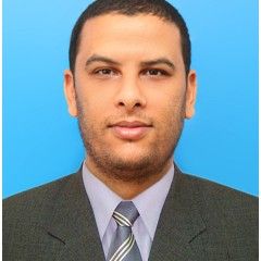 محمد الهادي الدريدي, sales executive