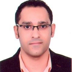 محمود يسرى, QFHSE Management systems & Performance Excellence advisor 