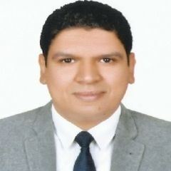 Ahmed Mohsen Abdo, Senior Key Accounts Manager - Data Center Solutions , 