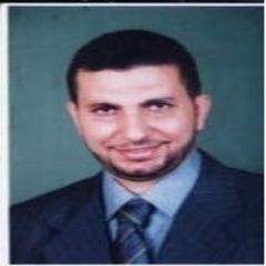 Tamer Mohammad Abuelkhir, أخصائي معلومات