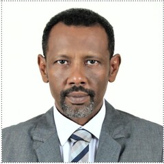 Hussam Eldin Elgezoli