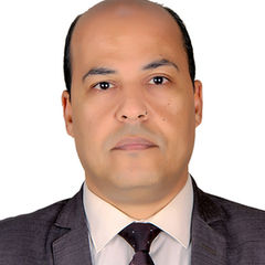 Ahmed Agamy, Financial & Admin. Manager