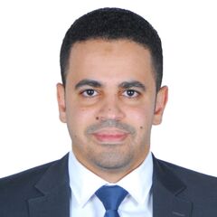 Ahmed Hamed, Senior Accountant