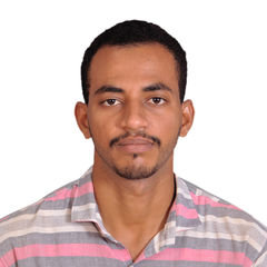 أبوبكر محمد عباس محمد, IT Instructor