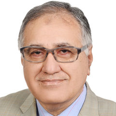 Tariq Mahesar