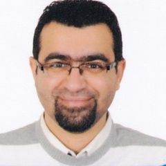 محمود بركات, Demand And delivery architect