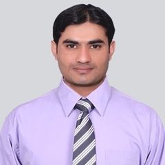 Manzoor  Hussain Muhammad Alyas, Accountant