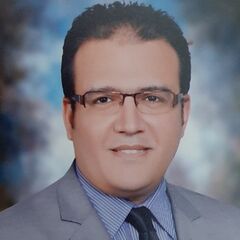 Ahmed Hossam Eldeen, Logistics Specialist