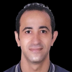 Hossam Elhefnawy, Direct Sales Manager 