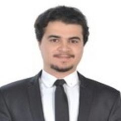 Hossam mohamed abolfotoh Badr, Relationship Manager