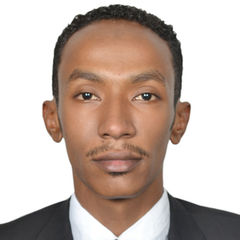 Ahmed Osman Babikir Ali, Territory Sales Manager