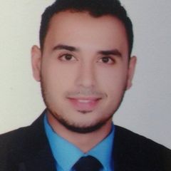 محمود محمد مصيلحى