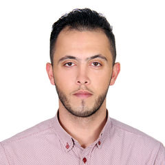 محمد عادل راتب حسن حسن, Accountant 