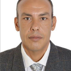 WAEL ELmenshawy, Administration Manager