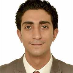 Kerollos Mina Fahmy  Kamel, Travel Consultant