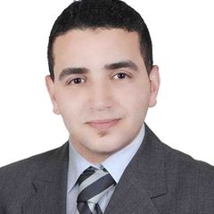 عبد العزيز منصور , Cost and Budget Controller