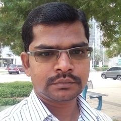 Praveen Kumar, Computer Programmer