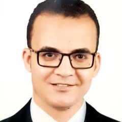 Mahmoud Abd Elalim, Assistant Vice President - Legal Affairs