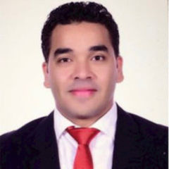 Adham Younis, Sr. Marine Insurance Engineer