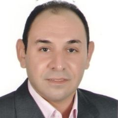 حسام السيد, Managing Director 