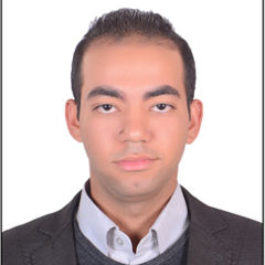 Amr  Ali, quality engineer
