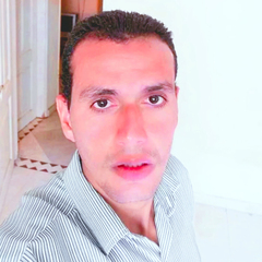 Ayoub Narouz, محاسب مالي