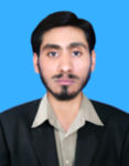 Syed Muhammad Ali Shah, Librarian