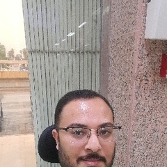 Tarek Mahmoud 