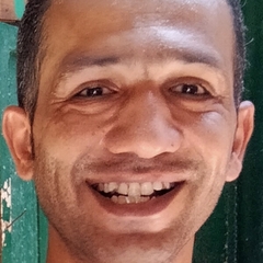 Mohamed Farag  Mohamed Mohamed , مدير مساعد 