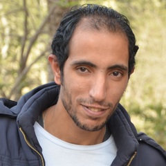 أحمد صبحي, Auditor