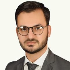 Muhammad Mesum Hassan Naqvi, Credit Risk Manager