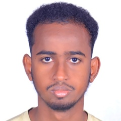 Abdillahi  Abdoulkader abdillahi , 