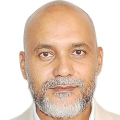 محمد أحمد شوقي قلاوه, Project Manager