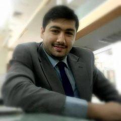 Ramiz Berkdar, تركيب وصيانة الكومبيوتر والشبكات