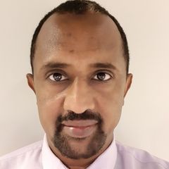 Mohammed Ibrahim Yousif, Financial Manager