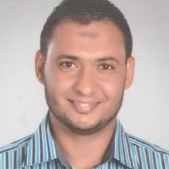 Ahmed Ragab, SALES MANAGER