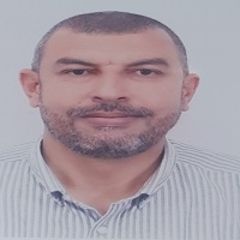 رضا الجوهري, مدير مشروع